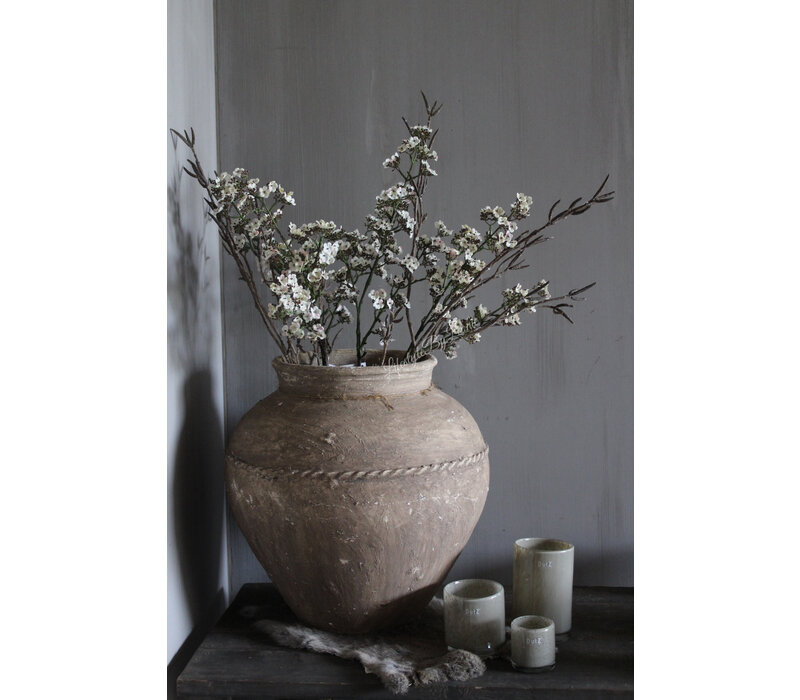 Brynxz Potentilla white 102 cm