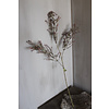 Brynxz Brynxz sobere tak mini bloemetjes purple 93cm