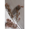 Brynxz Brynxz sobere tak varen vintage brown 93cm