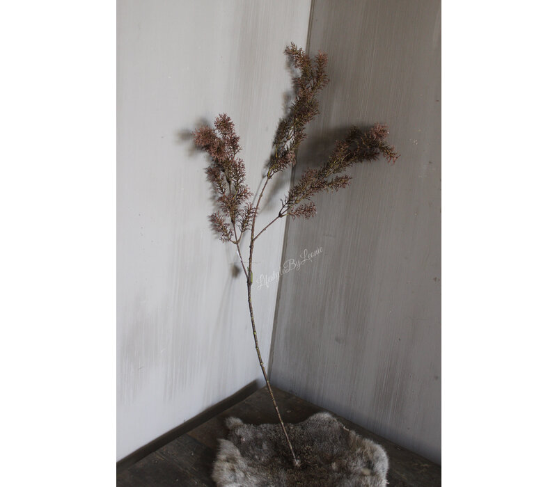 Brynxz sobere tak Varen vintage brown 93 cm