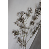 Brynxz Brynxz sobere tak berrie vintage brown 93cm
