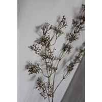 Brynxz sobere tak berrie vintage brown 93cm