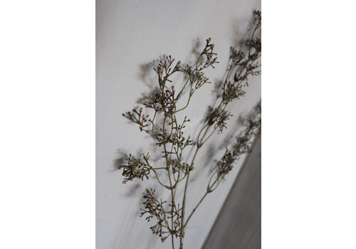 Brynxz Brynxz sobere tak Berrie vintage brown 93 cm
