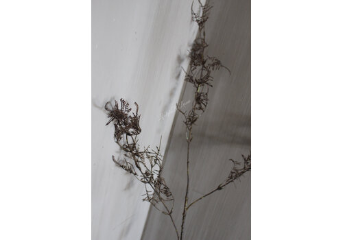 Brynxz Brynxz sobere tak Leaf vintage brown 93 cm Brynxz Brynxz sobere tak Leaf vintage brown 93 cm