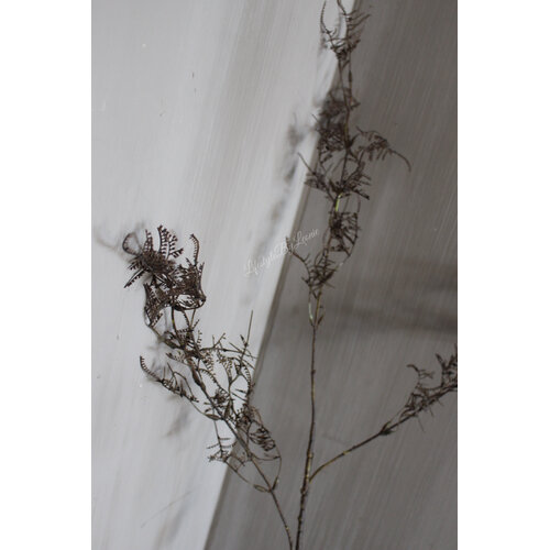 Brynxz sobere tak Leaf vintage brown 93 cm 