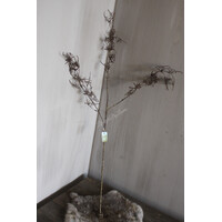 Brynxz sobere tak Leaf vintage brown 93 cm