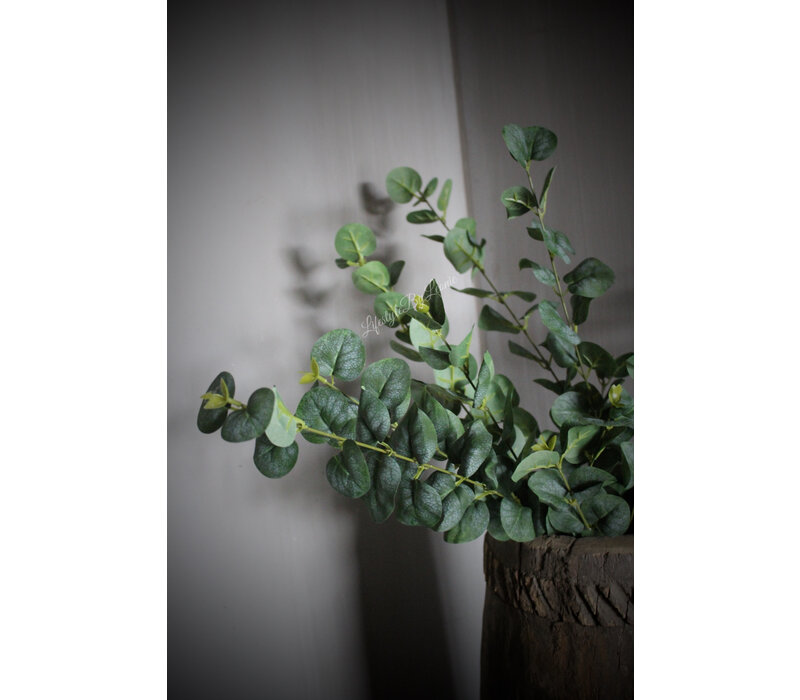 Namaak eucalyptus tak donkergroen 75cm
