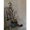 Namaak sobere larix boom met dennenappel 70cm