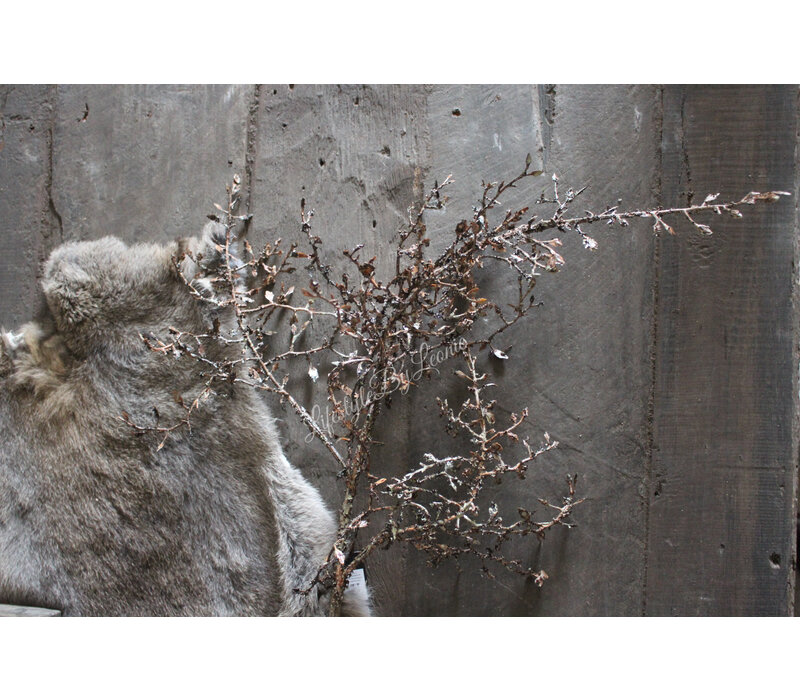 Namaak Corokia tak donkerbruin 90 cm