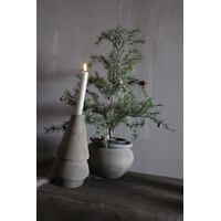 Namaak frosted cedar boom in pot 50cm