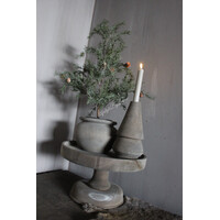 Namaak frosted cedar boom in pot 50cm
