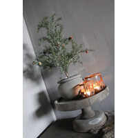 Namaak frosted cedar boom in pot 50cm
