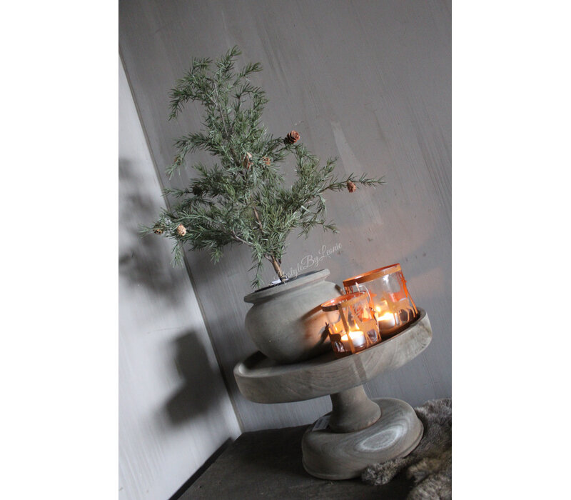 Namaak frosted cedar boom in pot 50cm