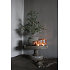 Namaak frosted cedar boom in pot 50cm