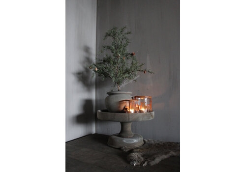 Namaak frosted cedar boom in pot 50cm