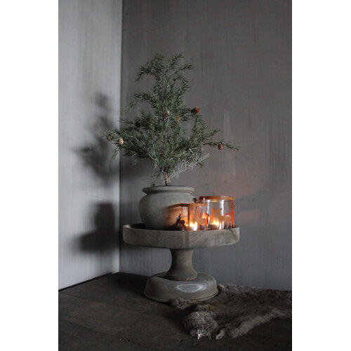 Namaak frosted Cedar boom in pot 50 cm 