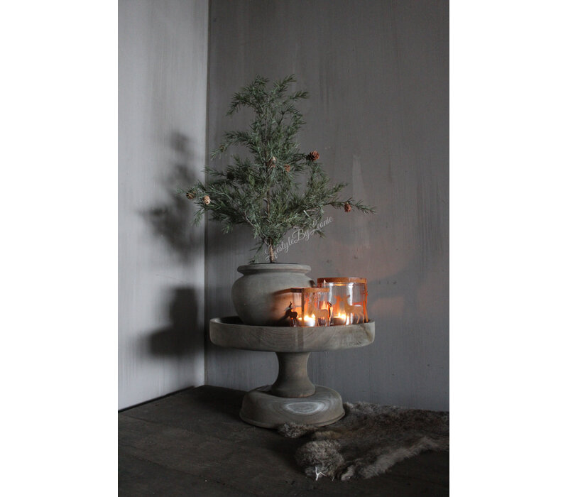 Namaak frosted Cedar boom in pot 50 cm