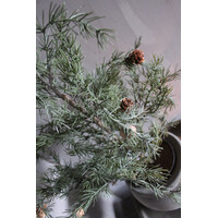 Namaak frosted cedar boom in pot 50cm