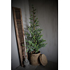 Namaak kerstboom op kruisvoet Nacka 170cm