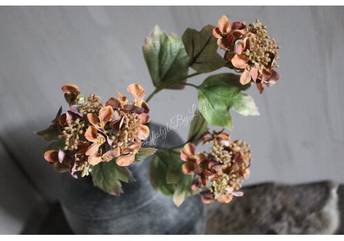 Namaak hortensia 3 bloemen Brown/camel 82cm