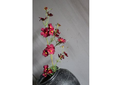 Zijden lange tak helenium spray Burgundy 85cm