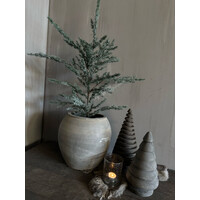 Brynxz Ceder tree grey 80cm