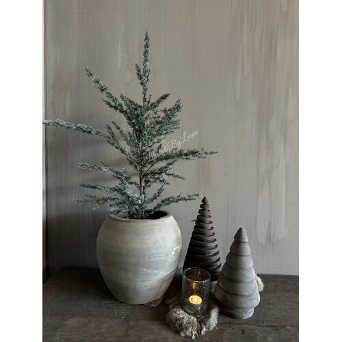 Brynxz Ceder tree grey 80 cm 