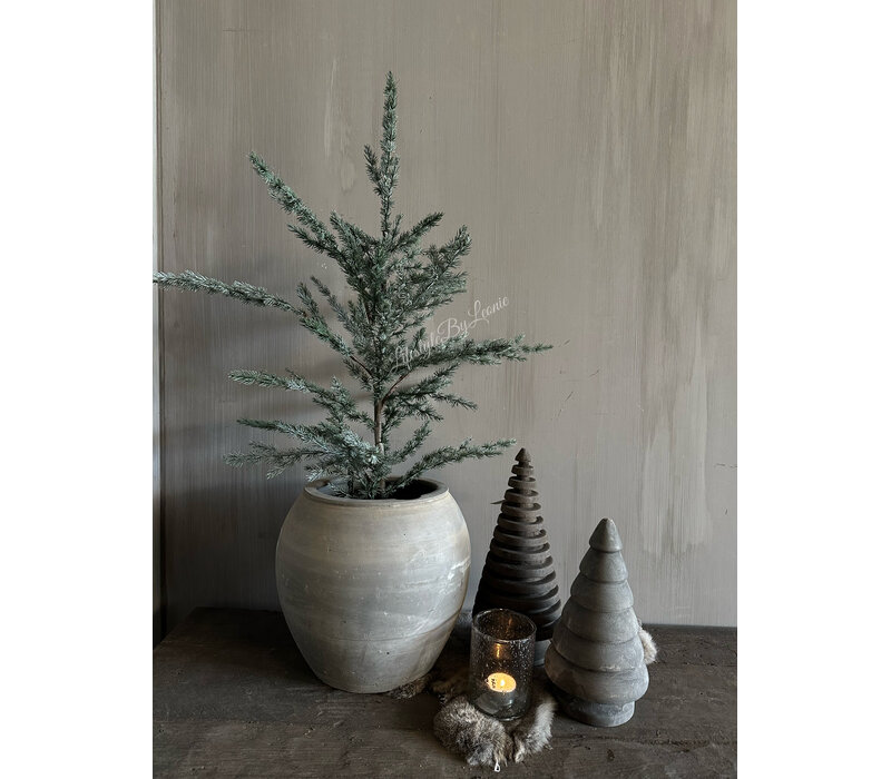 Brynxz Ceder tree grey 80cm
