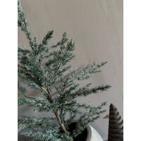 Brynxz Ceder tree grey 80cm