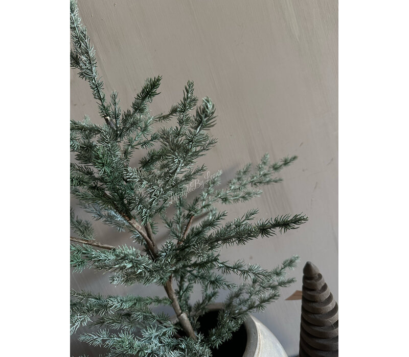 Brynxz Ceder tree grey 80cm