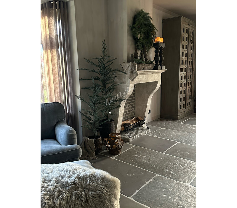 Brynxz Ceder tree grey 120cm