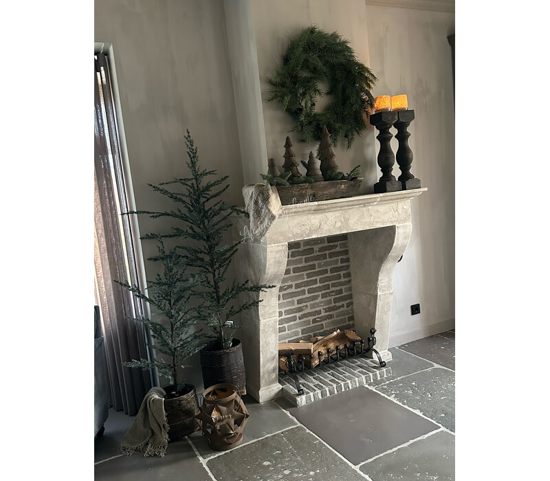 Brynxz Ceder tree grey 120cm