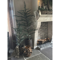 Brynxz Ceder tree grey 160 cm