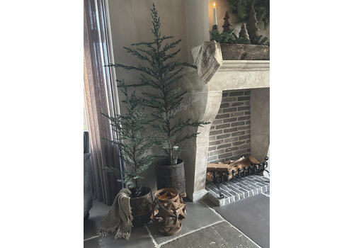 Brynxz Brynxz Ceder tree grey 160 cm