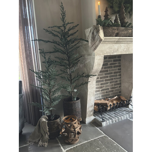 Brynxz Ceder tree grey 160cm 