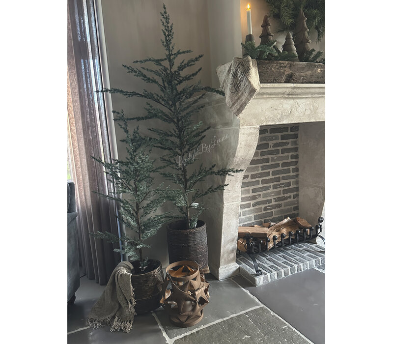 Brynxz Ceder tree grey 160cm