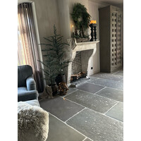 Brynxz Ceder tree grey 160cm