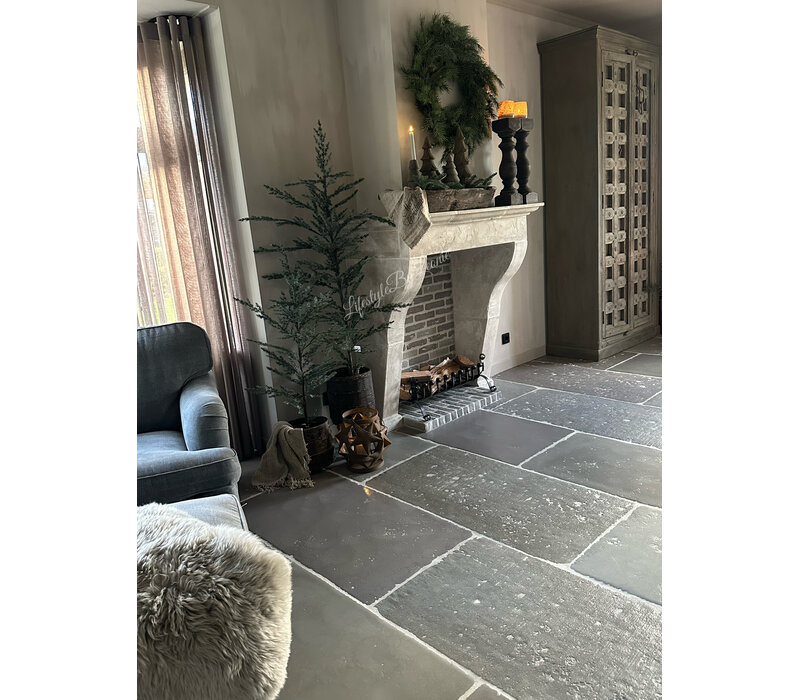 Brynxz Ceder tree grey 160cm