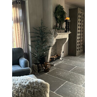 Brynxz Ceder tree grey 160cm