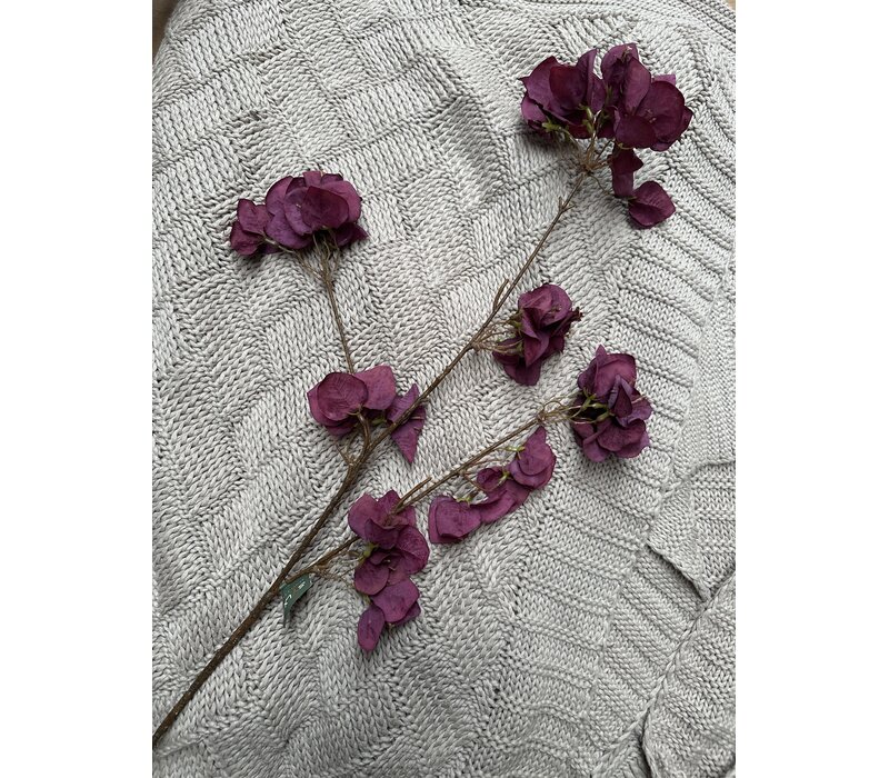Brynxz Bouganvillea burgundy 85 cm