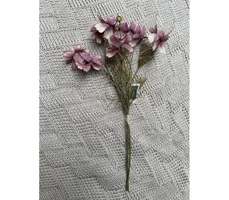 Brynxz Cosmos old pink 50 cm