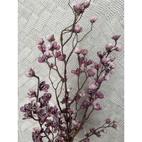 Brynxz prunus grande Old pink/ purple 130cm