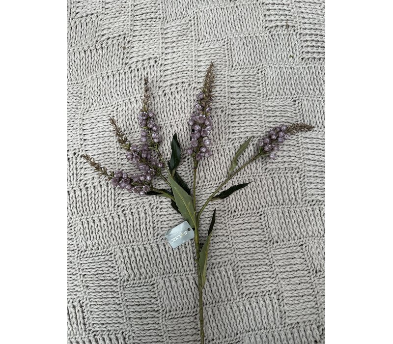 Brynxz Lelietje van dalen purple 50 cm