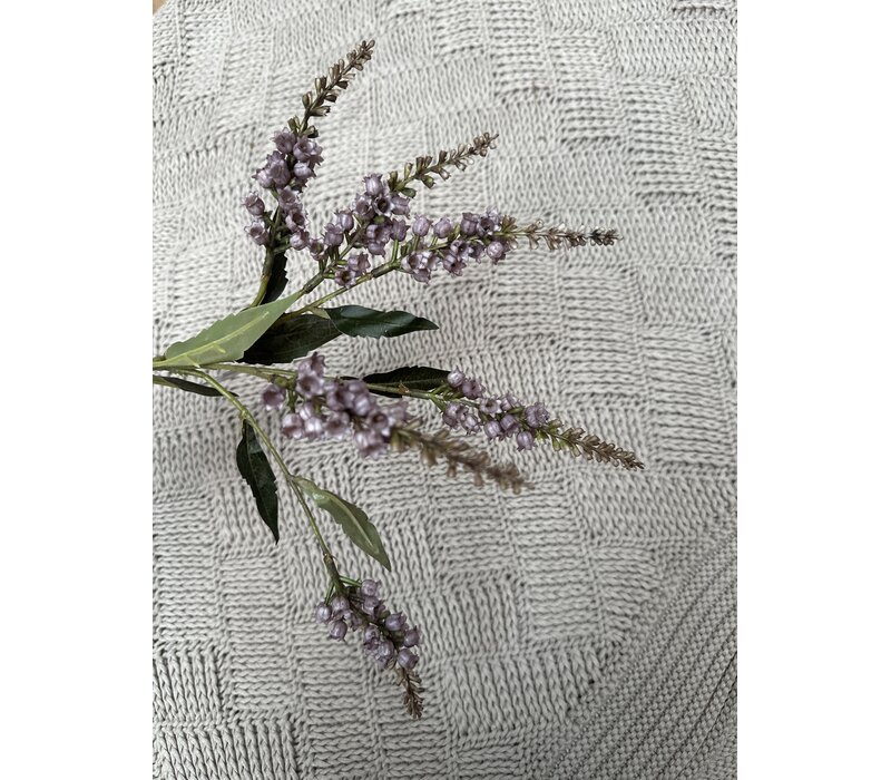 Brynxz Lelietje van dalen purple 50 cm