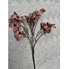 Brynxz Brynxz namaak cornus kousa Copper 75cm Brynxz Brynxz namaak cornus kousa Copper 75cm
