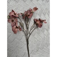 Brynxz namaak cornus kousa Copper 75cm