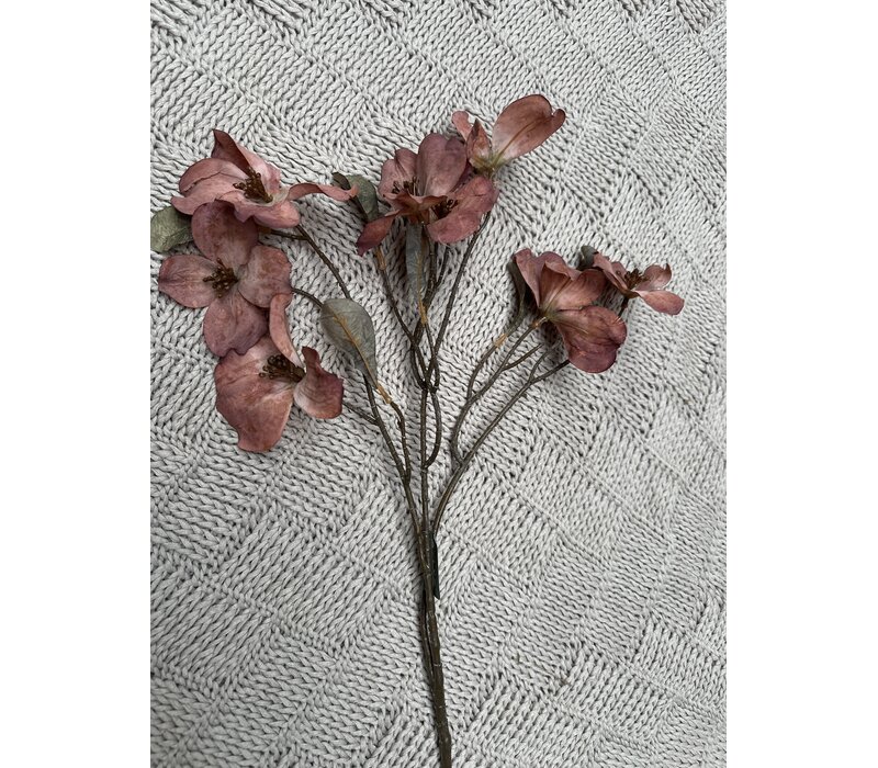 Brynxz namaak Cornus kousa copper 75 cm