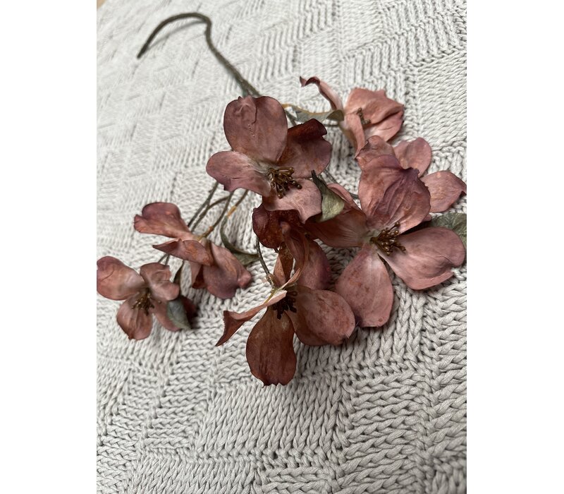 Brynxz namaak cornus kousa Copper 75cm