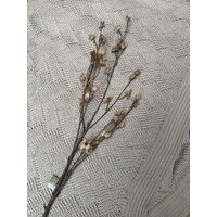 Brynxz grande cornus Old brown 110cm