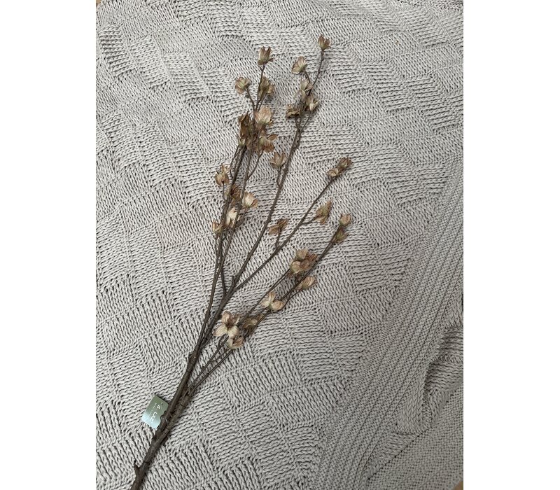 Brynxz grande cornus Old brown 110cm